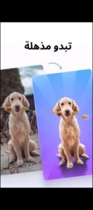 تحميل photoroom للايفون 4.8.6.2026.IOS فوتو روم اخر اصدار 5