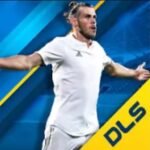 dls 19 مهكرة